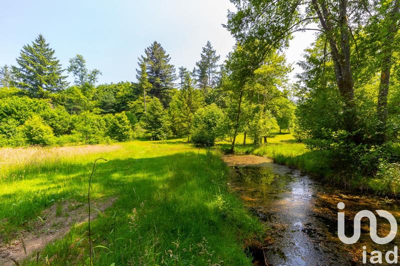 Terrain - 39 973 m²