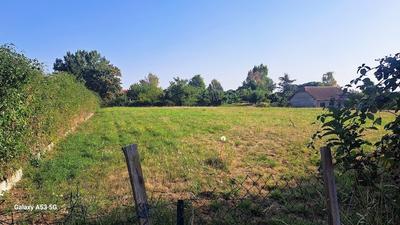 Terrain constructible - 2 559 m²
