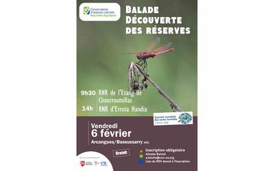 Découverte des réserves : Errota Handia