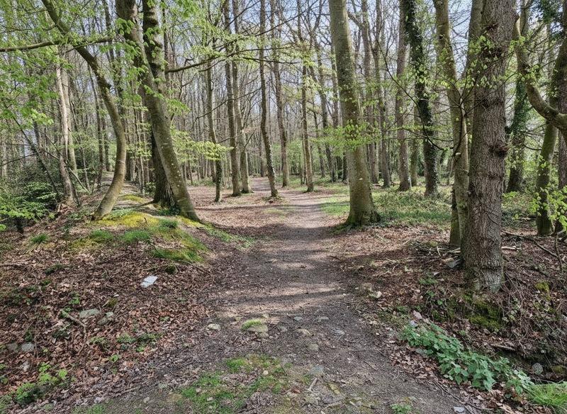 Manoir - 228 m² - 7 pièces