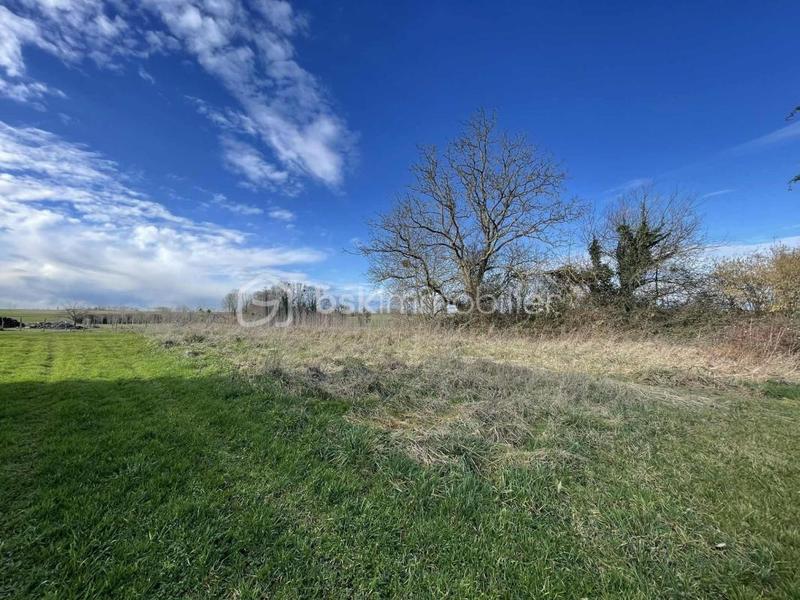 Terrain constructible - 1 132 m²