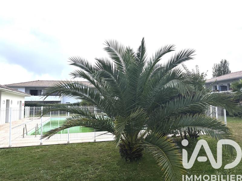 Appartement - 42 m² - 2 pièces