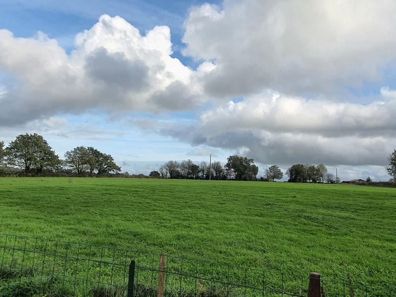 Maison - 124 m² - 5 pièces