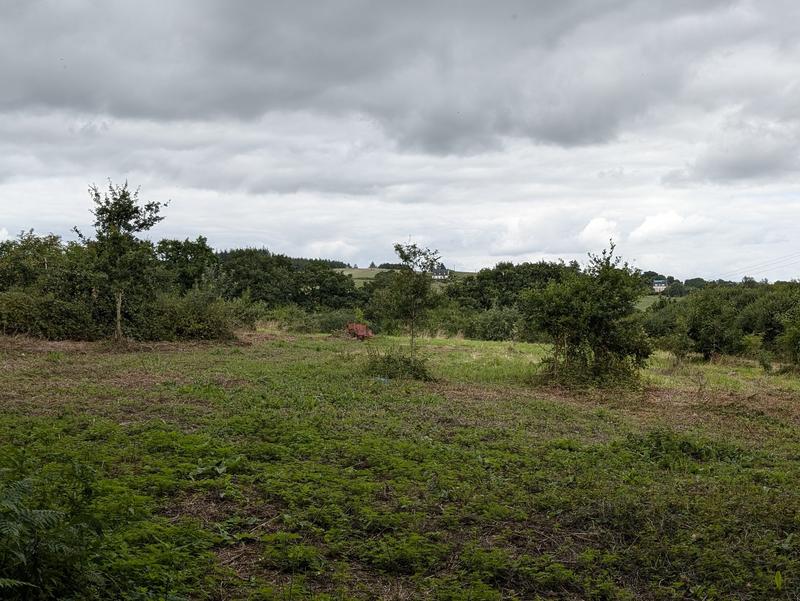 Maison ancienne - 6 pièces