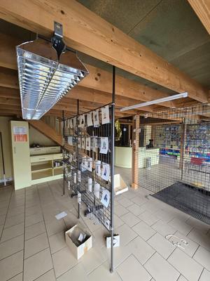 Local commercial - 218 m²