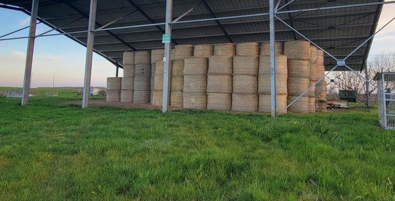 Terrain - 181 896 m²