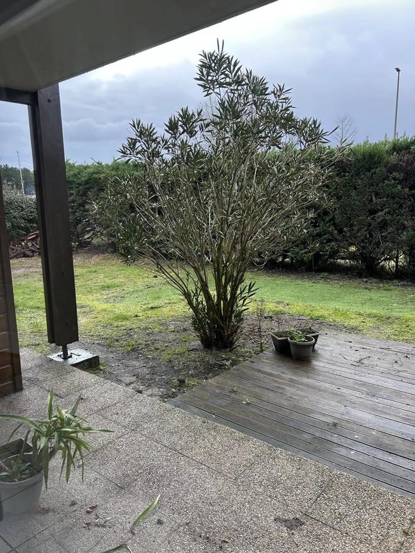 Appartement - 41 m² - 2 pièces