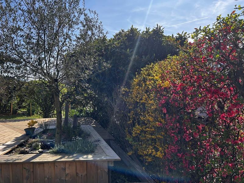 Maison - 115 m² - 6 pièces