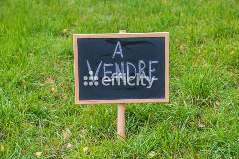 Terrain constructible - 703 m²