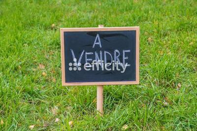 Terrain constructible - 703 m²