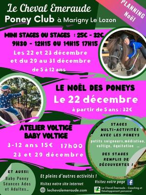 Le Cheval Emeraude > Programme des vacances