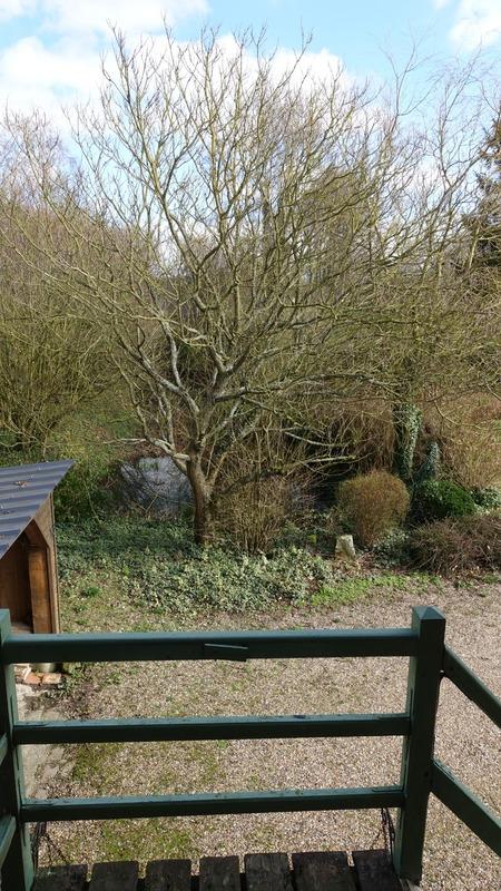 Maison - 176 m² - 6 pièces