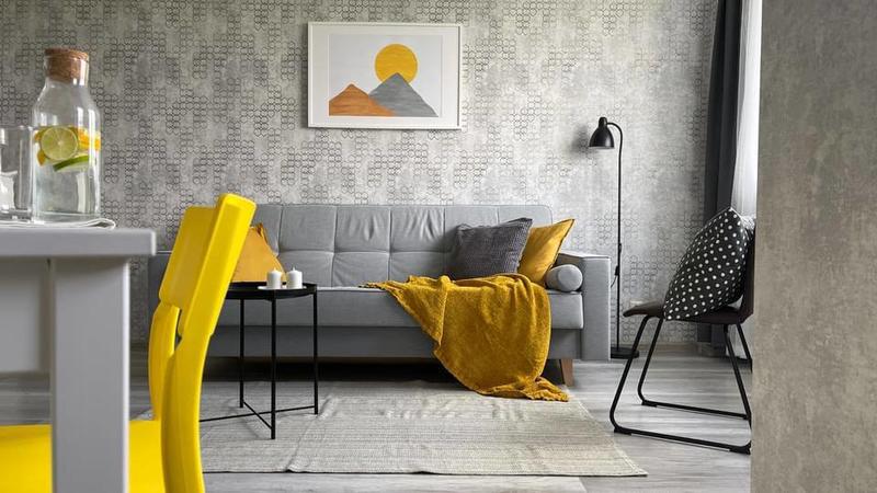 Studio - 24 m² - 1 pièce