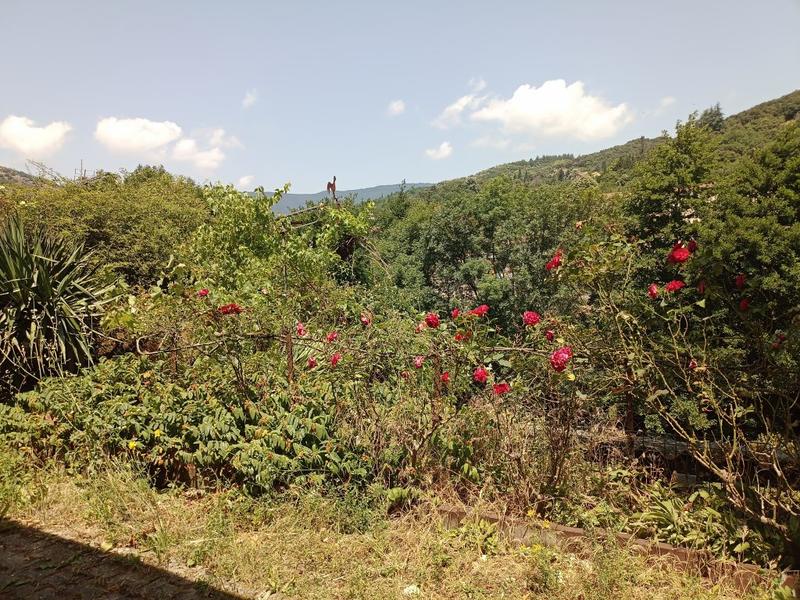 Maison - 56 m² - 3 pièces