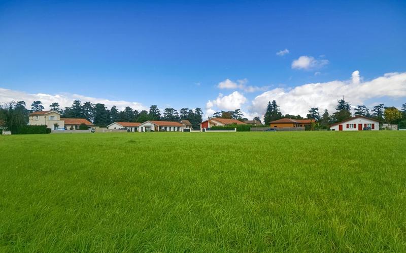 Terrain constructible - 5 000 m²