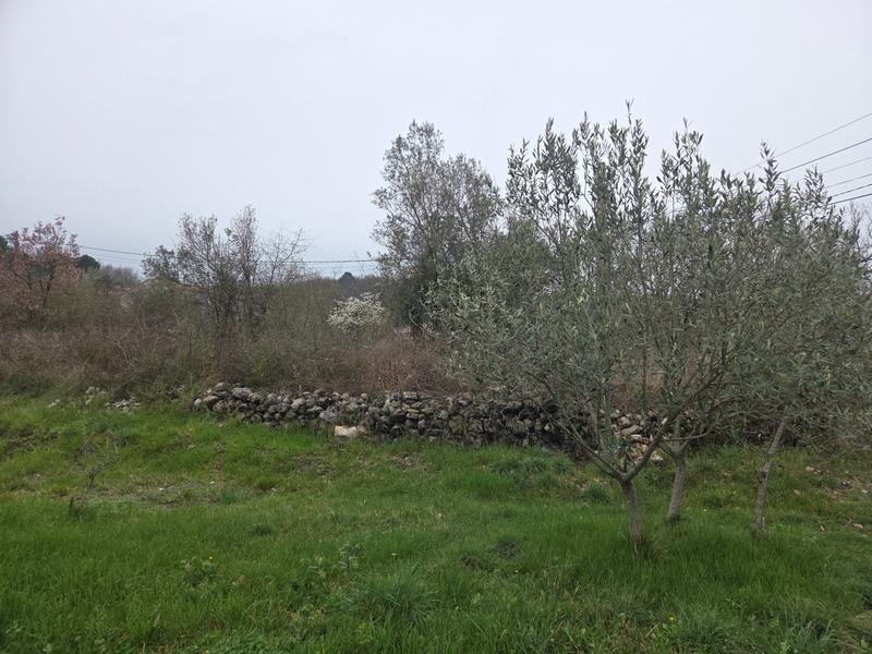 Terrain constructible - 9 849 m²