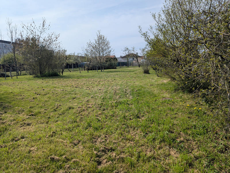 Viager - Appartement - 793 m² - 1 pièce