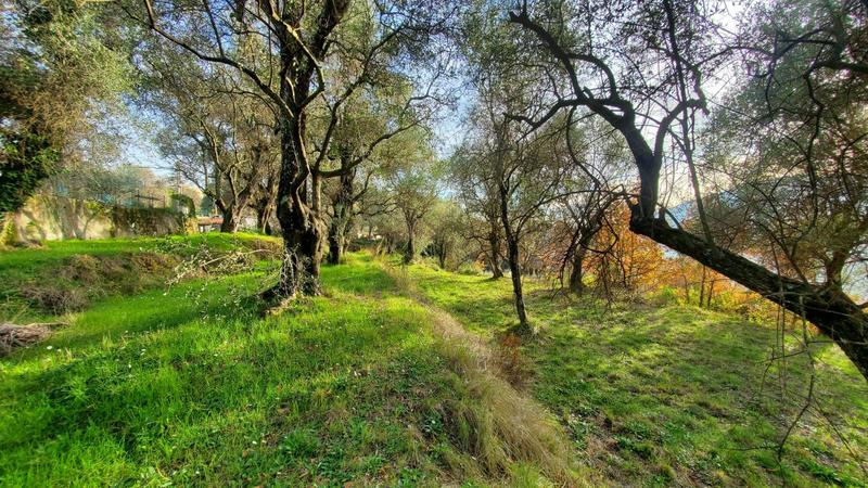 Terrain constructible - 2 800 m²