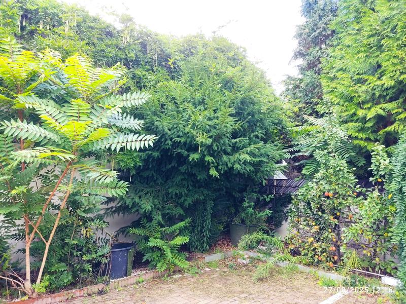 Local commercial - 1 100 m²