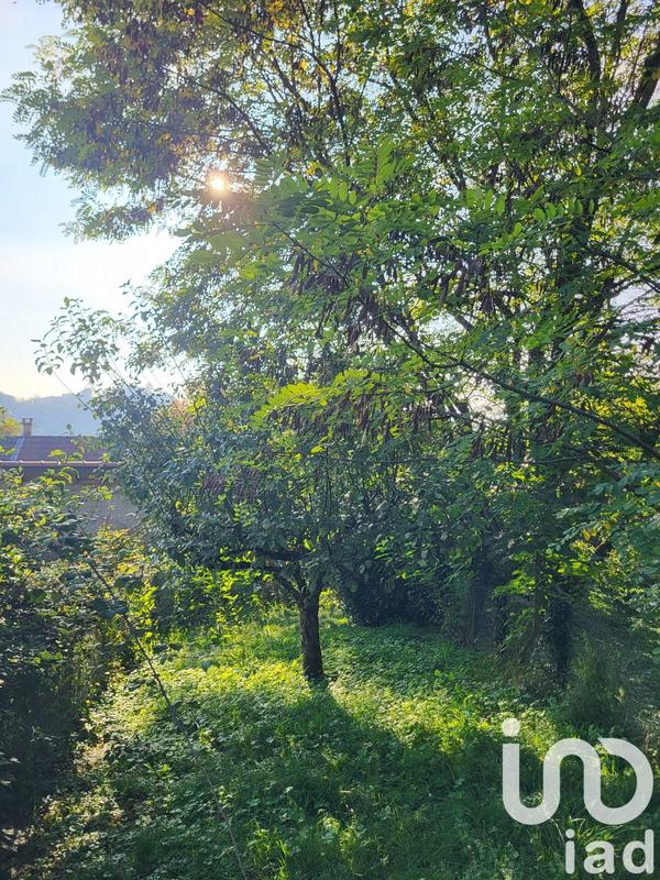 Maison - 250 m² - 8 pièces