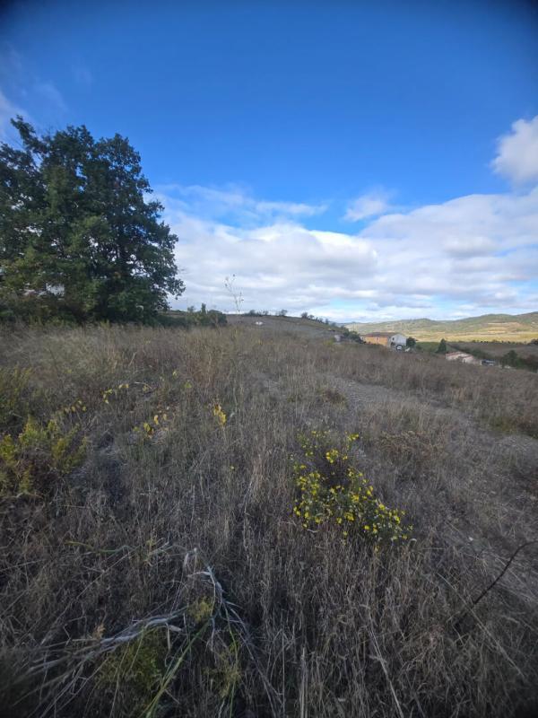 Terrain constructible - 2 463 m²