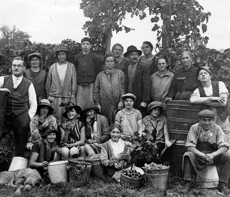 La Vie'stub de la Maison Jean Huttard