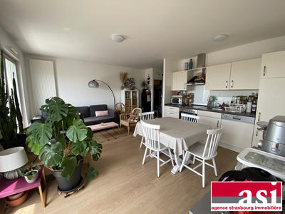 Appartement - 45 m² - 2 pièces