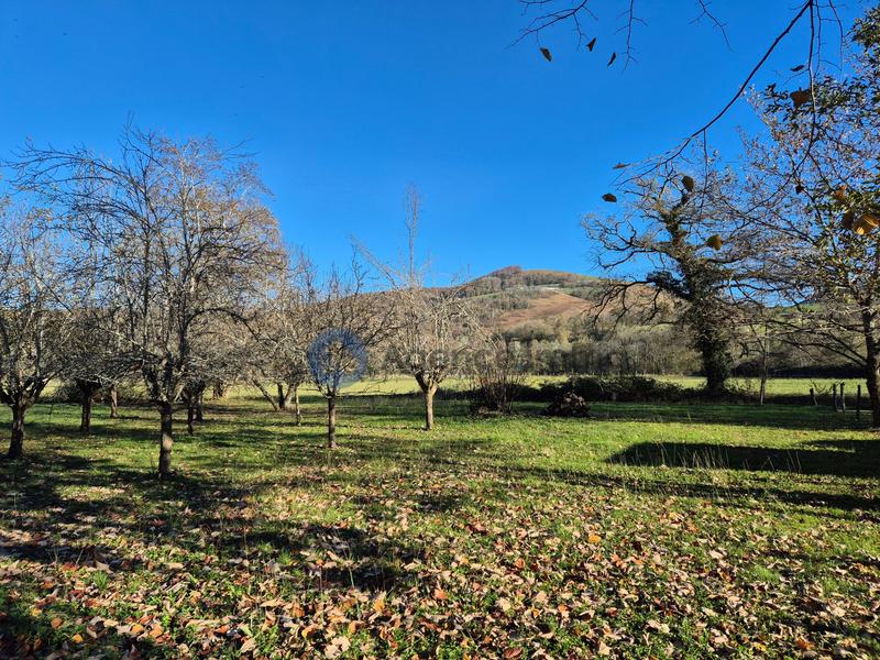 Villa - 240 m² - 7 pièces