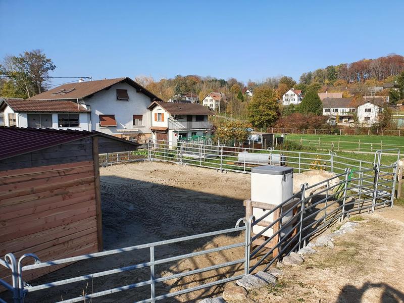 Maison de domaine équestre - 125 m² - 6 pièces