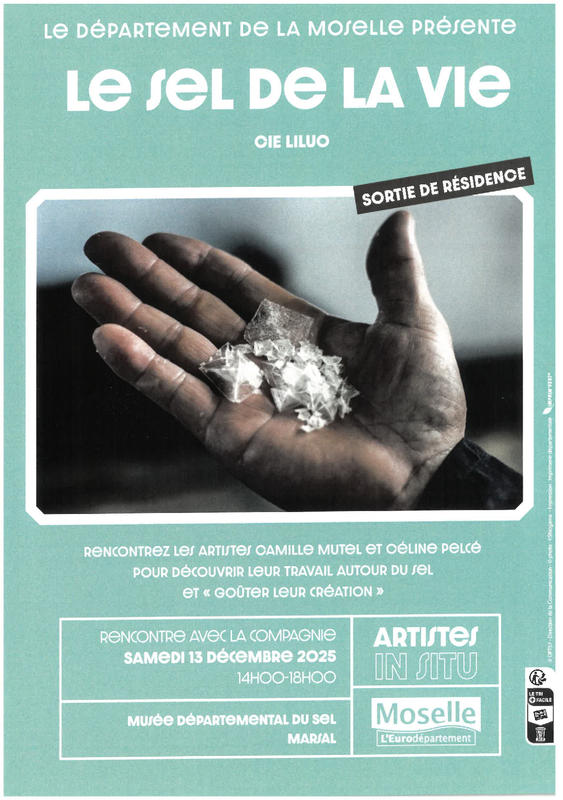 Spectacle - le sel de la vie