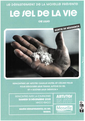 Spectacle - le sel de la vie