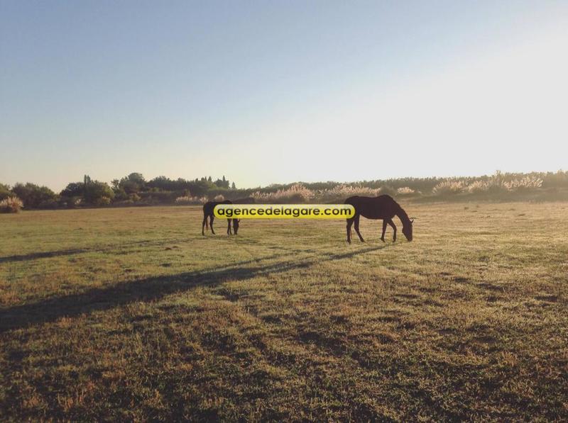 Propriété - 450 m² - 30 pièces