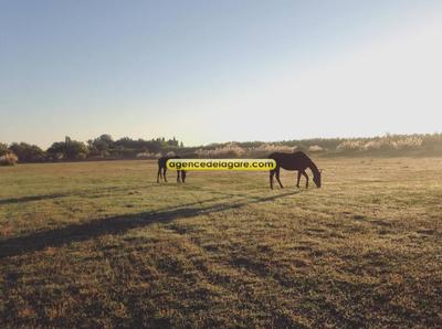 Propriété - 450 m² - 30 pièces