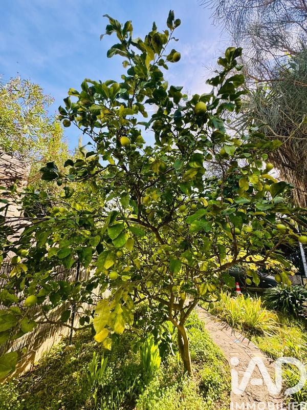 Appartement - 79 m² - 3 pièces