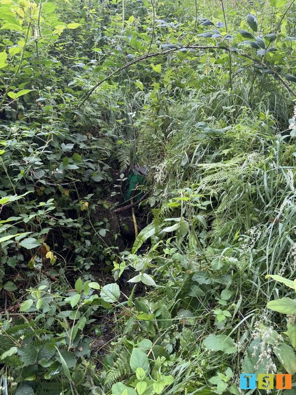 Maison - 25 m² - 1 pièce