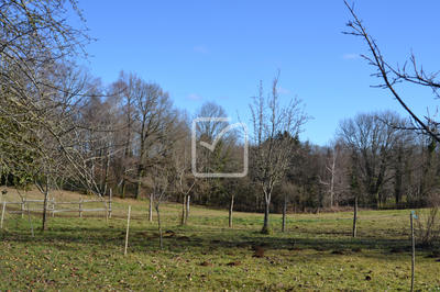 Maison - 148 m² - 5 pièces