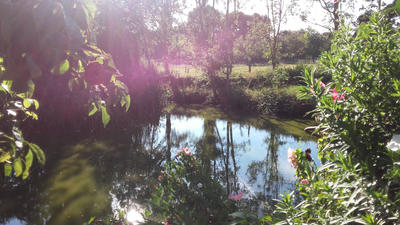 Maison - 220 m² - 9 pièces