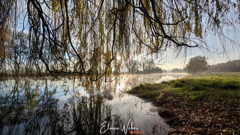 Maison - 168 m² - 6 pièces