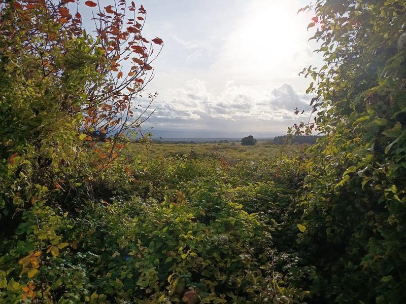 Corps de ferme - 400 m² - 5 pièces