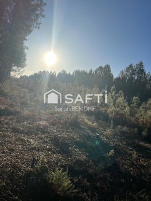 Terrain agricole - 11 400 m²