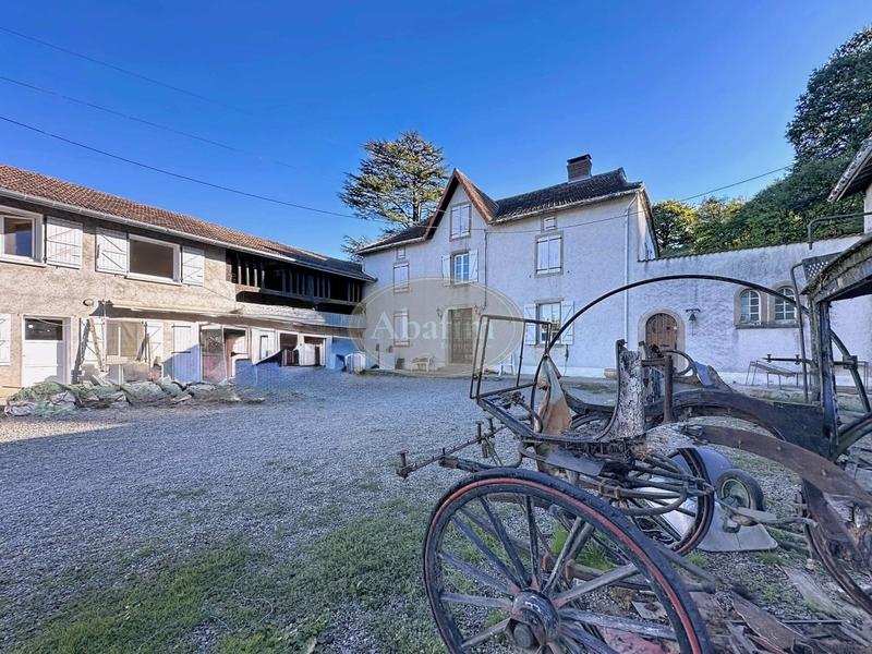 Maison - 300 m² - 10 pièces