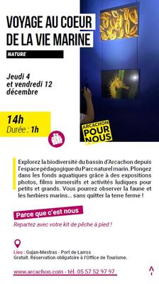 Arcachon pour nous : Voyage au coeur de la vie marine