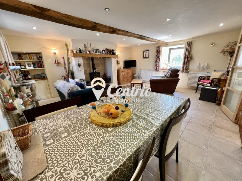 Maison ancienne - 409 m² - 11 pièces