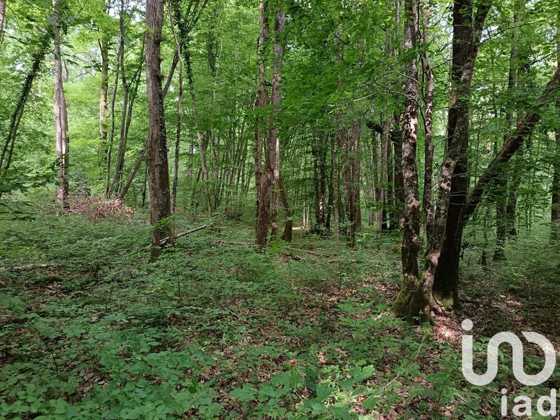 Terrain agricole - 8 960 m²