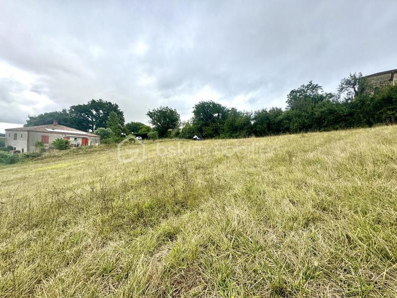 Terrain constructible - 3 697 m²