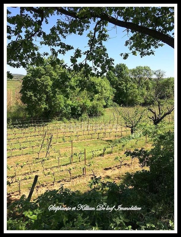 Terrain agricole - 24 630 m²