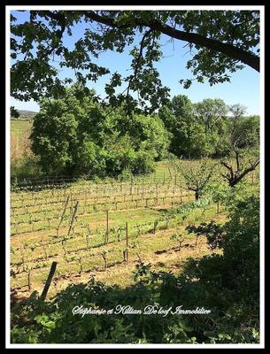 Terrain agricole - 24 630 m²