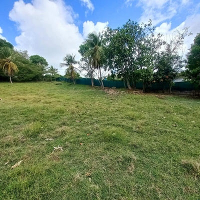 Terrain constructible - 1 043 m²