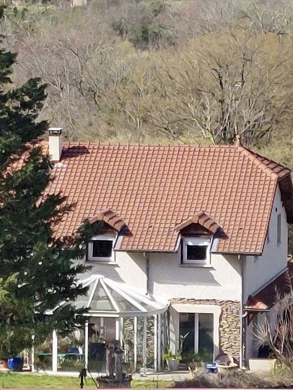 Maison en pierre - 255 m² - 8 pièces