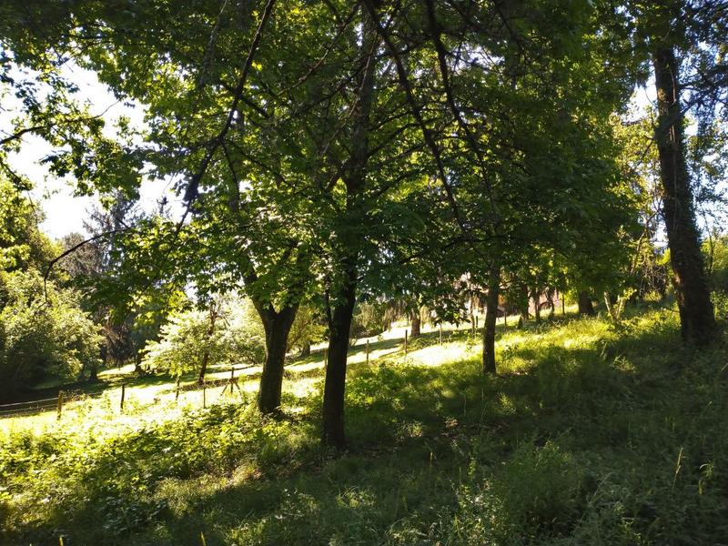 Terrain constructible - 2 000 m²